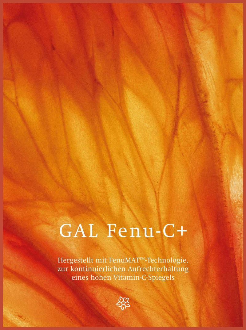 GAL Fenu-C+