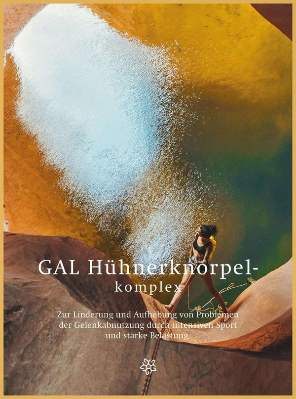 GAL Hühnerknorpel-Komplex